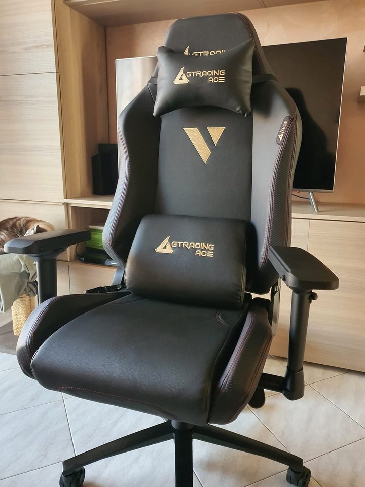 GT Racing Ace M1 reviews | ProductReview.com.au