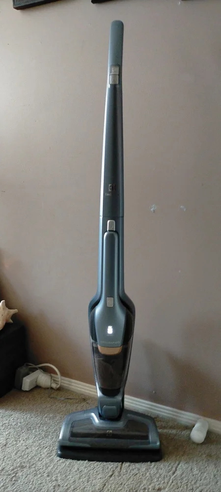 Electrolux Ergorapido Allergy ZB3311 (18V, Titan Blue) reviews