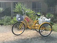 Royal london tricycle reviews hotsell