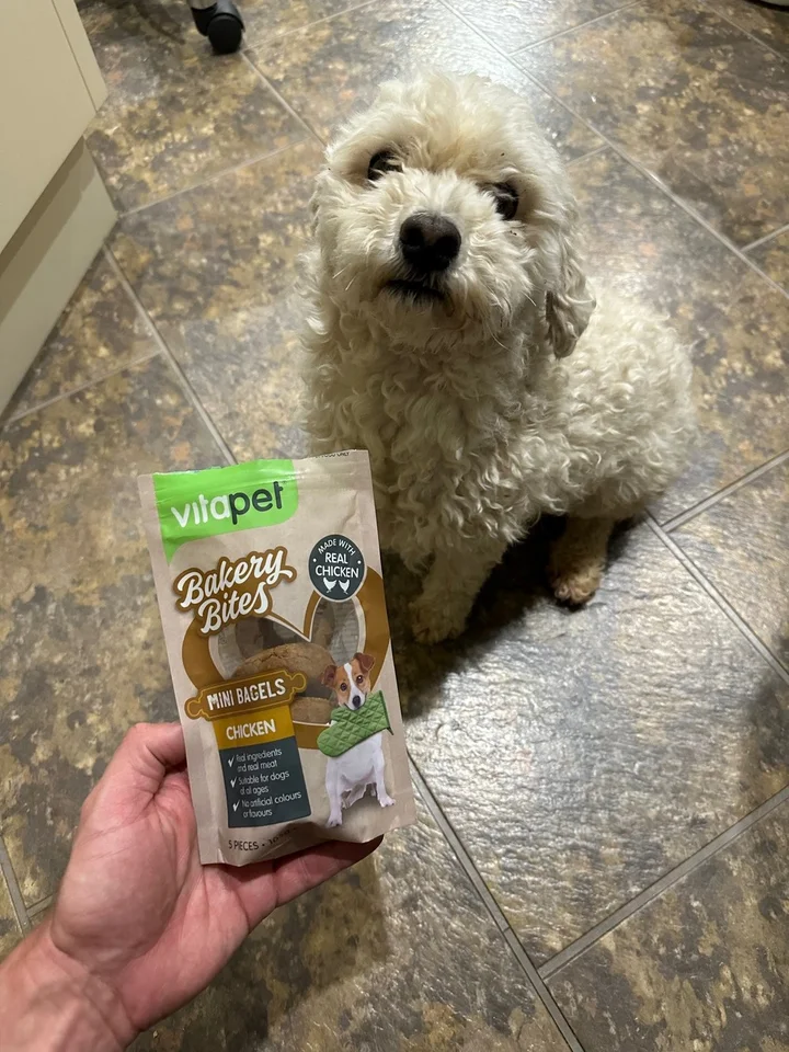 Vitapet Best Non Chicken Puppy Food Buy Vitapet Dry Dog Food