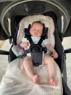 Milly Coup Milo Stroller reviews