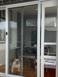 High Tech Sliding Door Dog Door Home Depot Dog Cat Patio Door