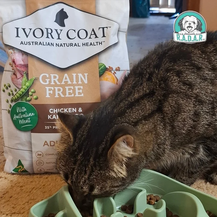 Ivory Coat Grain Free Dry Cat Food reviews