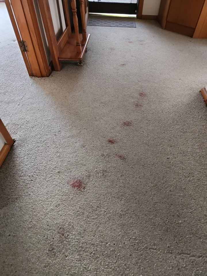 1800-Got-Junk? reviews | ProductReview.com.au