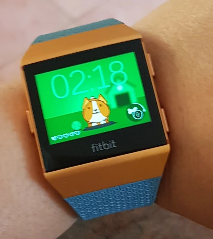 Fitbit Ionic reviews