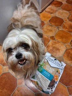 Large Breed Best Friends Ivory Coat Grain Free Adult Wet Cat Food