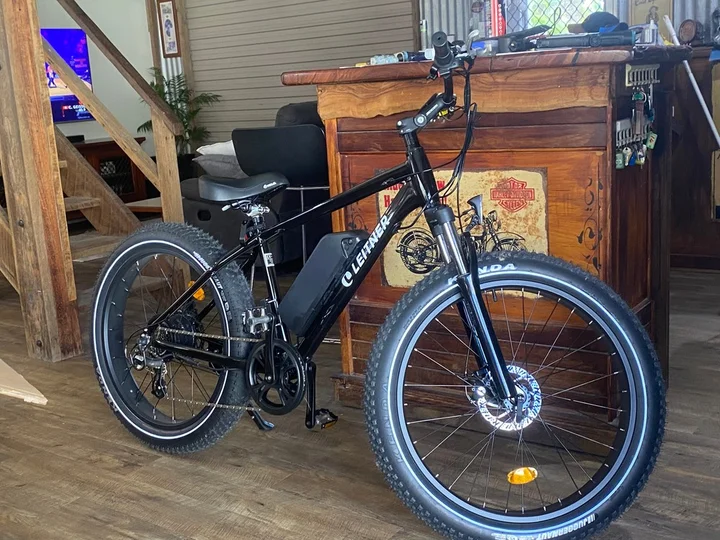 Leitner Electric Fat Bike reviews