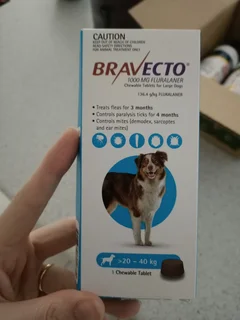 Bravecto Chew for Dogs reviews
