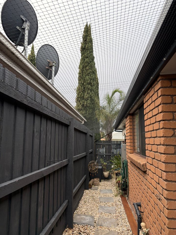 Catworks reviews | ProductReview.com.au