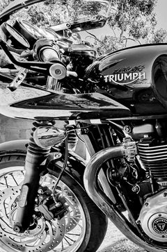 Triumph Thruxton reviews