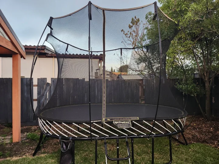 Springfree Medium Oval O77 reviews