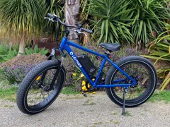 Leitner electric fat bike review sale