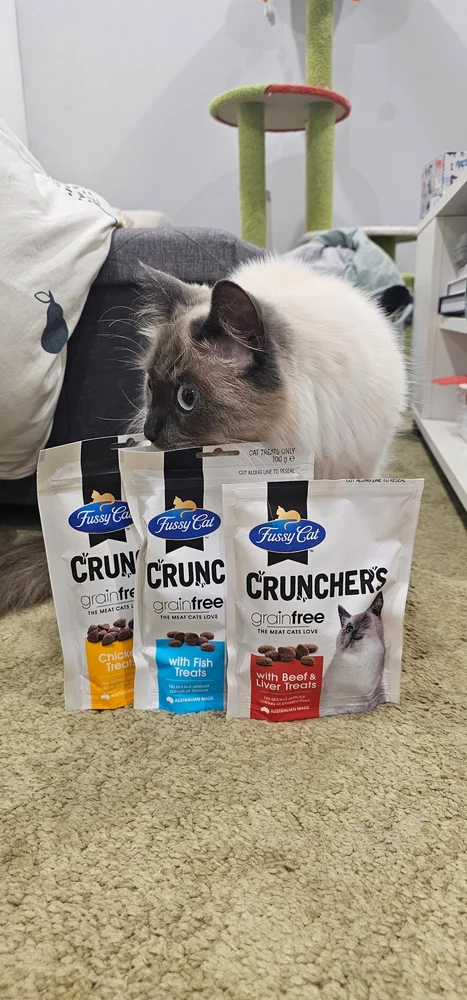 Fussy Cat Treats reviews