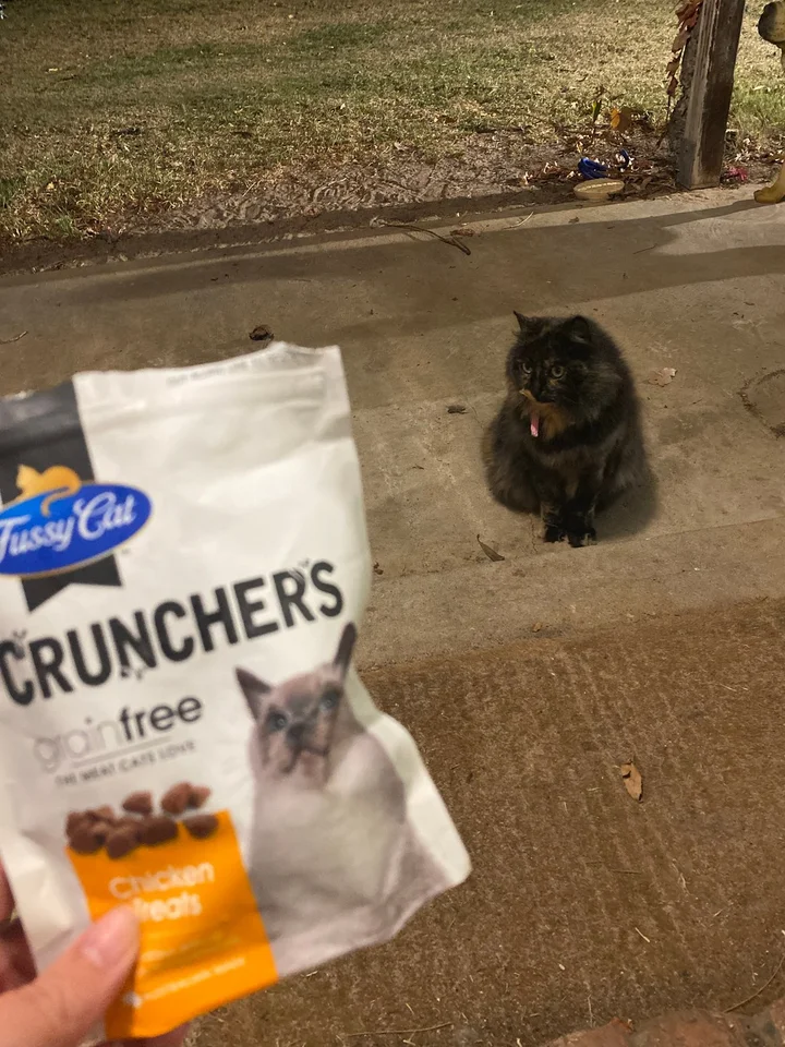 Fussy Cat Treats Crunchers Chicken reviews