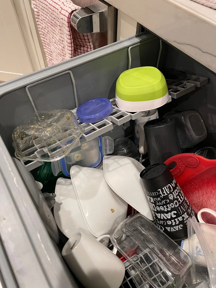 Fisher Paykel DishDrawer reviews