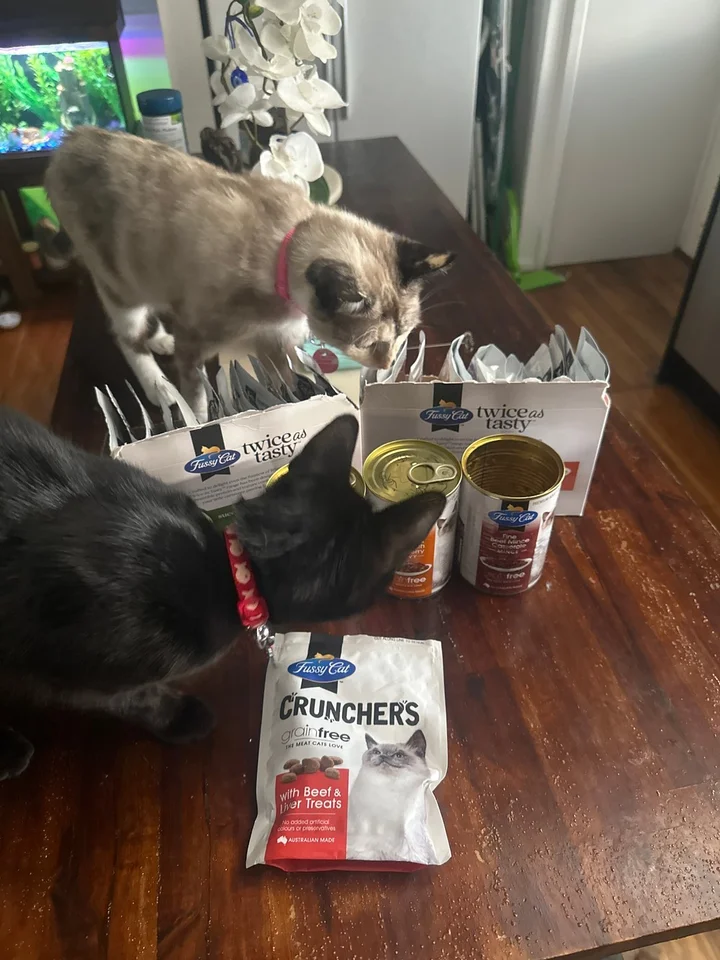 Maintenance Cat Best Cat Food Brands Reddit Purina ONE Natural