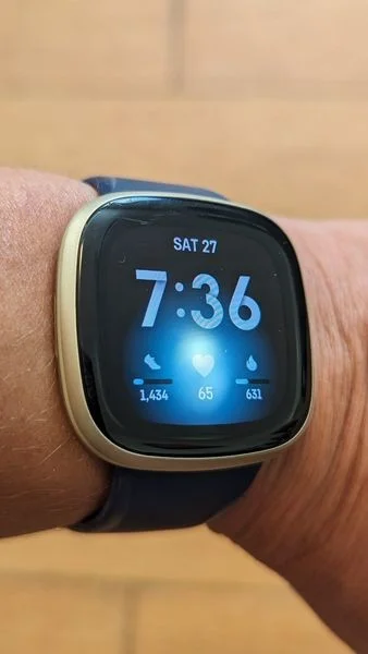 Fitbit Versa reviews